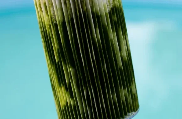 Pool cleaning Services in Colleyville